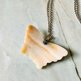 Butterfly Energy