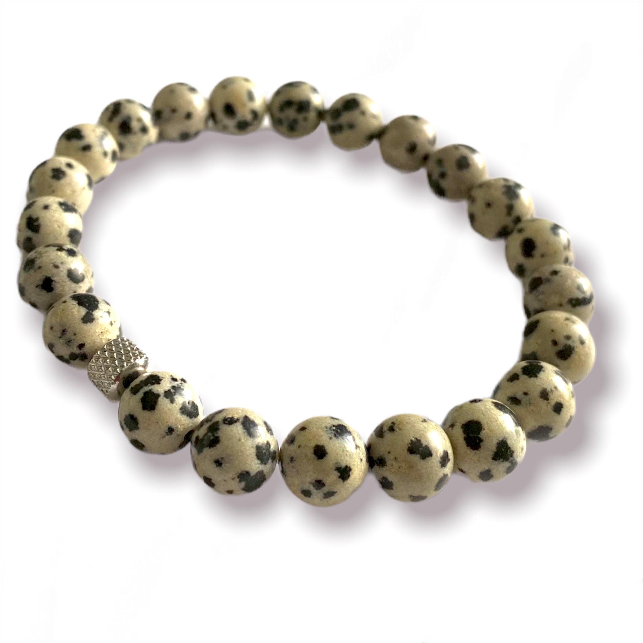 Classic Dalmatian Jasper